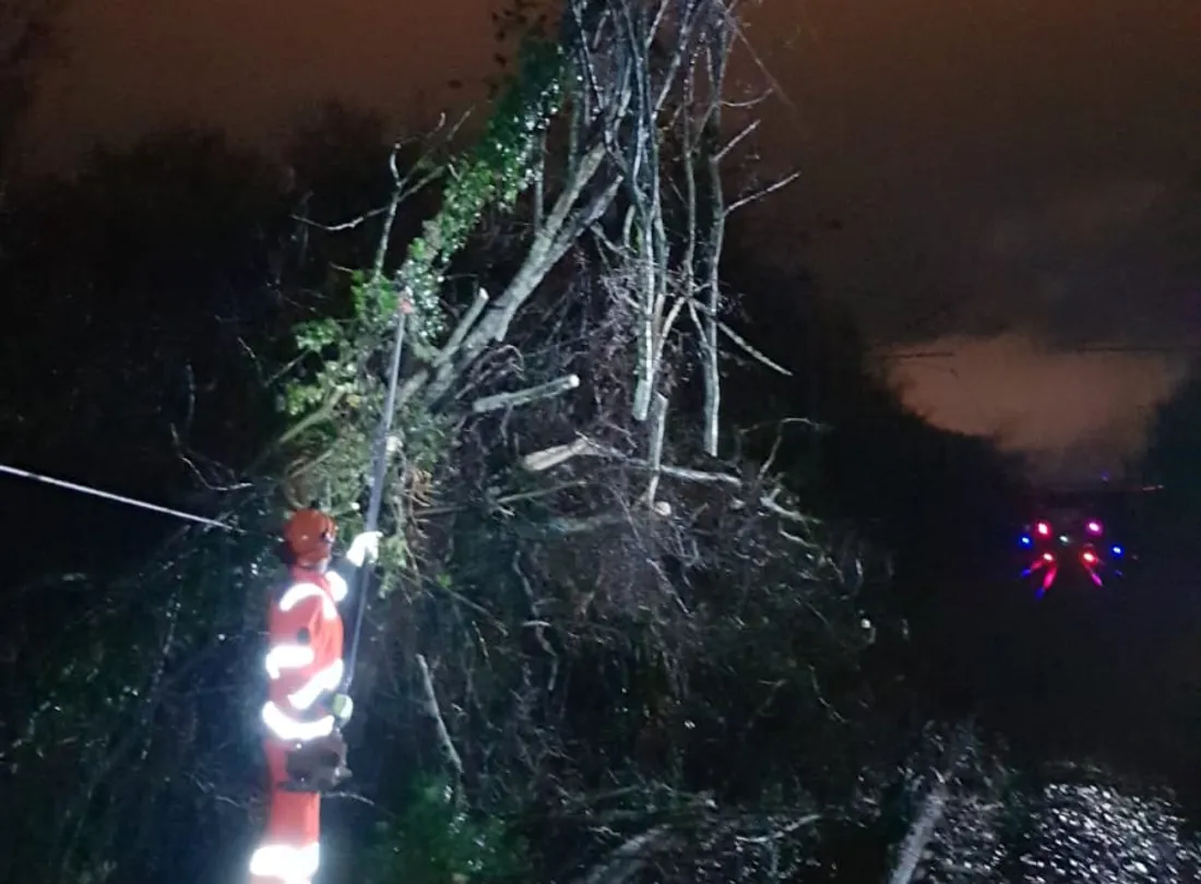 Des branches sur les caténaires